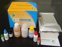 FcγRⅡ/CD32 elisa酶聯免疫試劑盒品牌