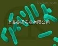 青海弧菌發光菌